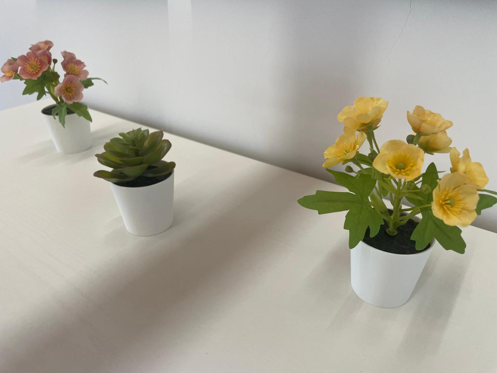 Annabella'S Home Agropoli Bagian luar foto