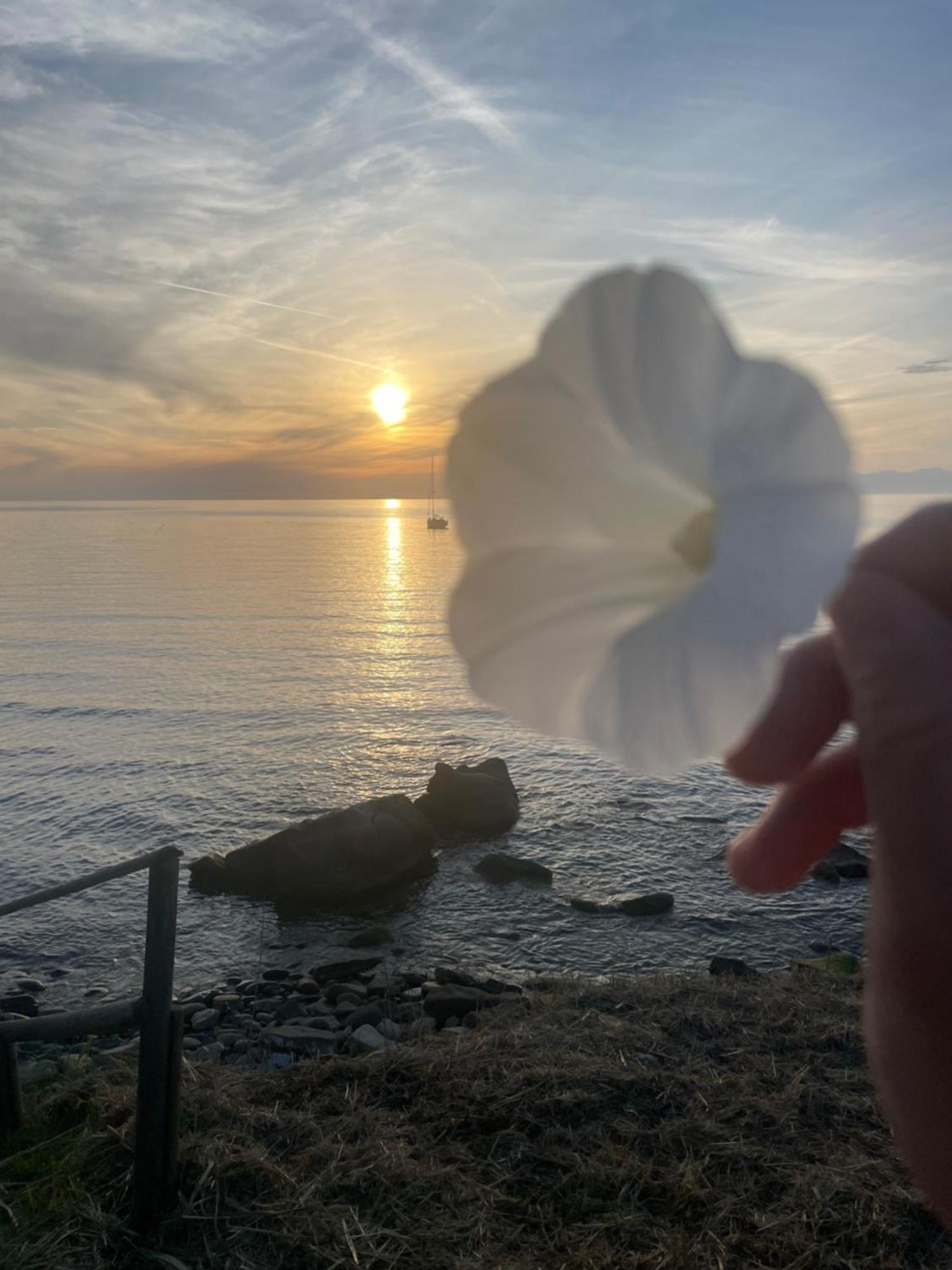 Annabella'S Home Agropoli Bagian luar foto